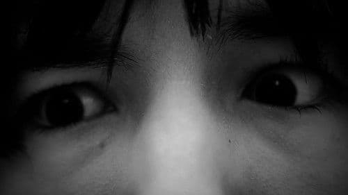 the forest of great mystery and emptiness Bild 2