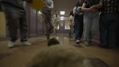 What's My Sign Again? Bild 2