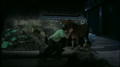 מכתבים מרישיקש Bild 1