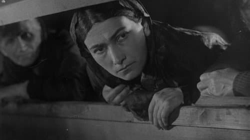 Граница Bild 1