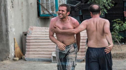 استراحت مطلق Bild 5