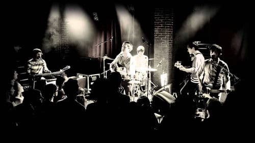 Villagers - Berlin Live Bild 1