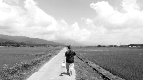 普通は走り出す Bild 1