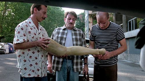 Tre uomini e una gamba Bild 1