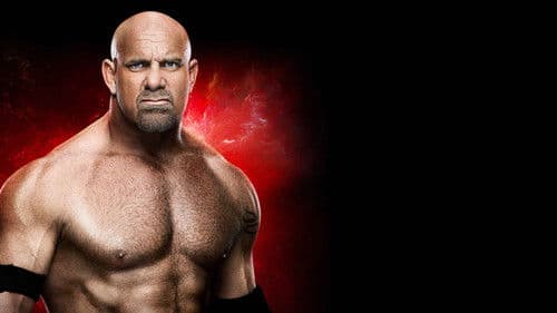 WWE Fastlane 2017 Bild 3