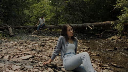 Daylight Again Bild 1