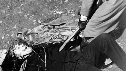 Dracula braucht frisches Blut Bild 8