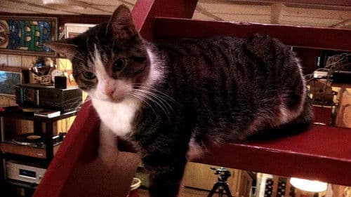 Welcome to the Basement Bild 4