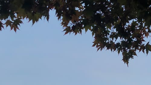 This Must Be the Place Bild 1