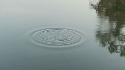 ลายหินอ่อน Bild 1