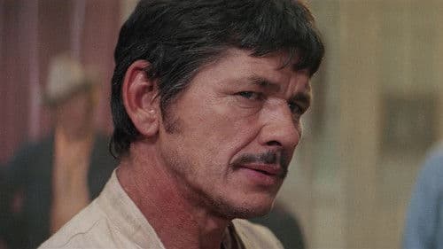 Zwei Kerle aus Granit Bild 6