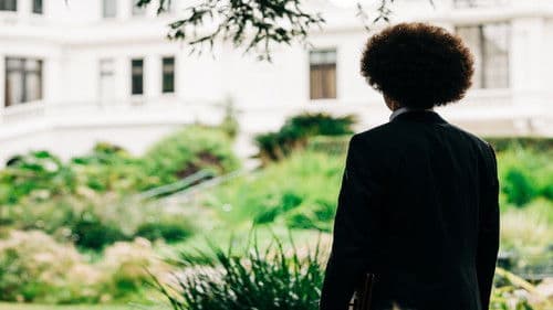 The Fairchild Bild 2