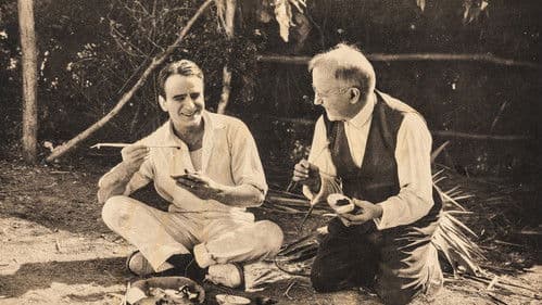 Down to Earth Bild 1