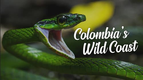 Colombia's Wild Coast Bild 1