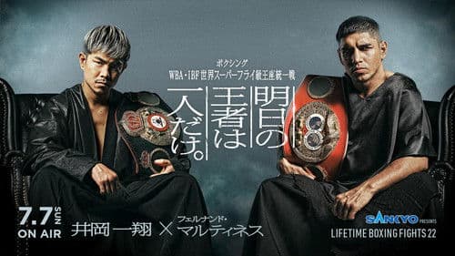 LIFETIME BOXING FIGHTS 22 Bild 1