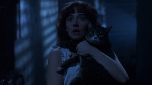 The Amityville Curse - Der Fluch Bild 2