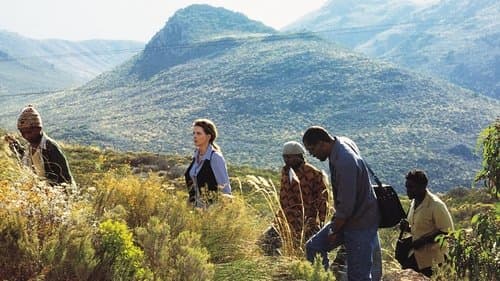 In My Country Bild 1