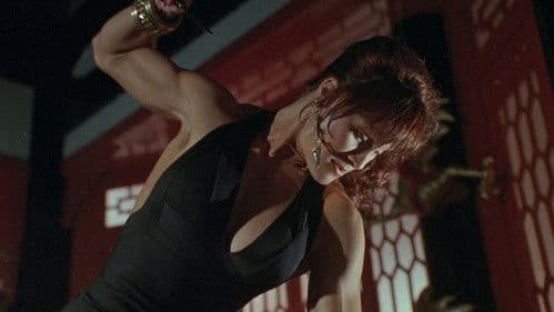 Geballte Ladung - Double Impact Bild 3