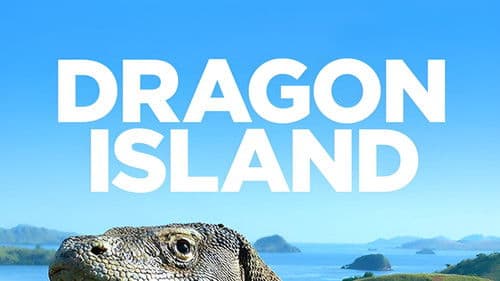 Die Dracheninsel Bild 2