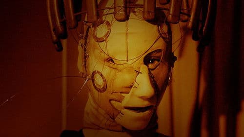 2551.01 - The Kid Bild 1