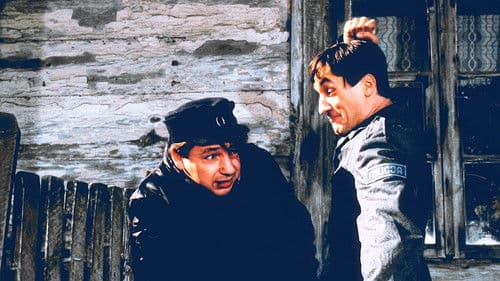 Ein Wendehals Bild 6