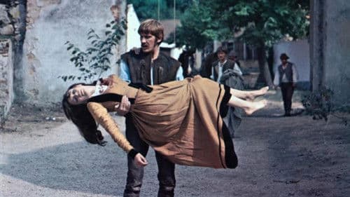 Michael Kohlhaas - Der Rebell Bild 1