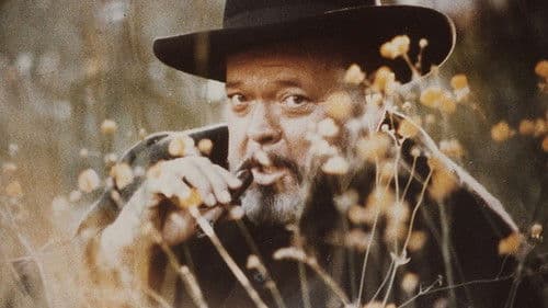 F wie Fälschung Bild 4