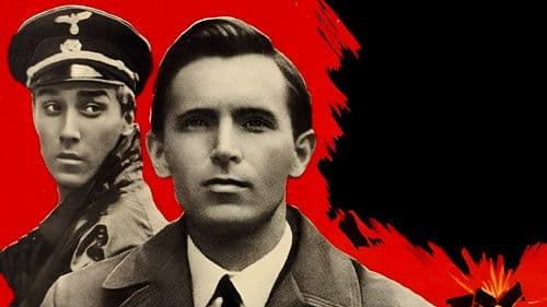 Schild und Schwert Bild 3