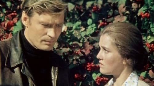 Приезжая Bild 1