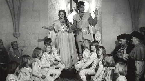 Die elf Schwäne Bild 2