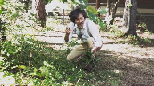 ペンションメッツァ Bild 6