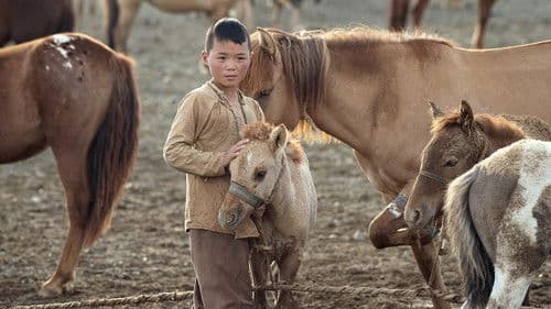 Хийморь Bild 3