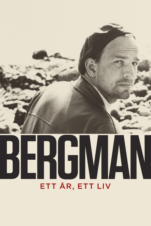 Bergman — A Year in a Life