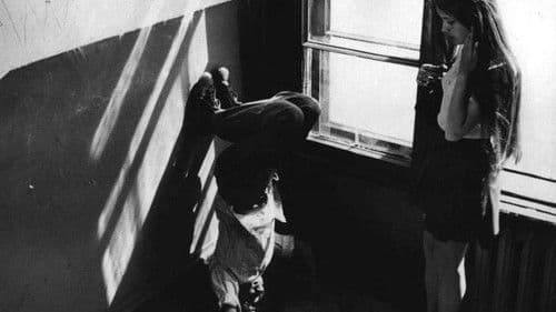 Не болит голова у дятла Bild 6