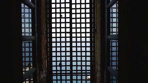 W domu (Polska) Bild 3