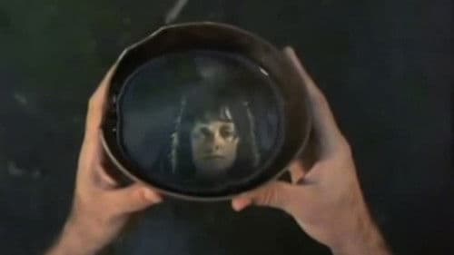 A Força dos Sentidos Bild 6