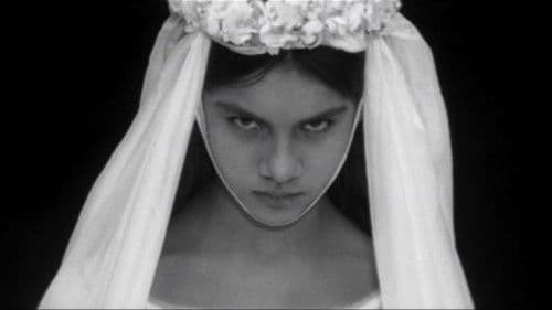 Údolí včel Bild 6