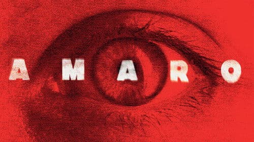 Amaro Bild 1