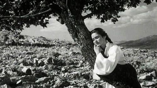 Djevojka i hrast Bild 3