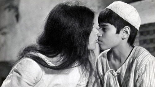 אני אוהב אותך רוזה Bild 1