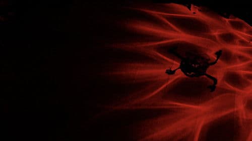 Flooding Memories Bild 1