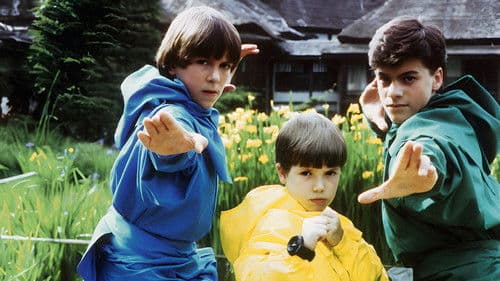 3 Ninjas Kick Back Bild 5