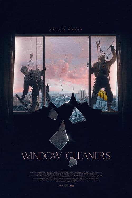 Window Cleaners