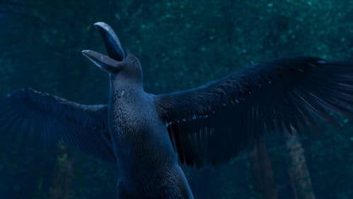 Little Doctor Bild 4