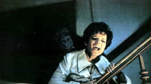 Der Gorilla von Soho Bild 3