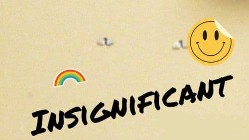 Insignificant Bild 2