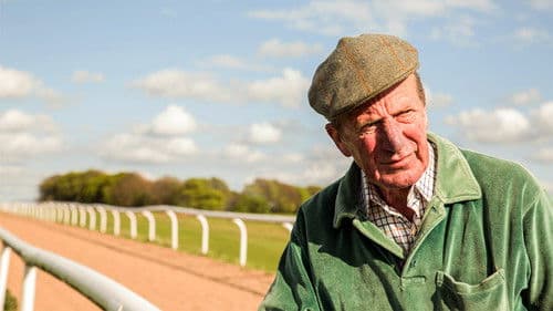 Searching for Shergar Bild 1