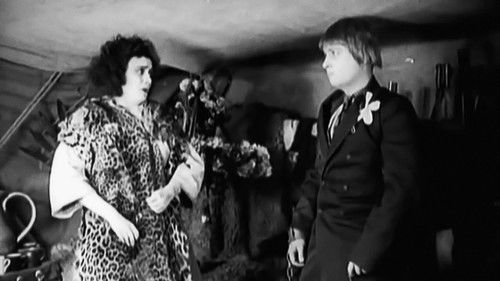 Die Bergkatze Bild 2