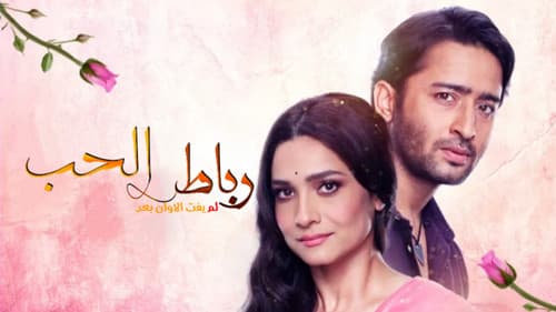 Pavitra Rishta - It's Never Too Late Bild 3