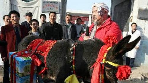 Blowing Niu Sanniu Bild 1